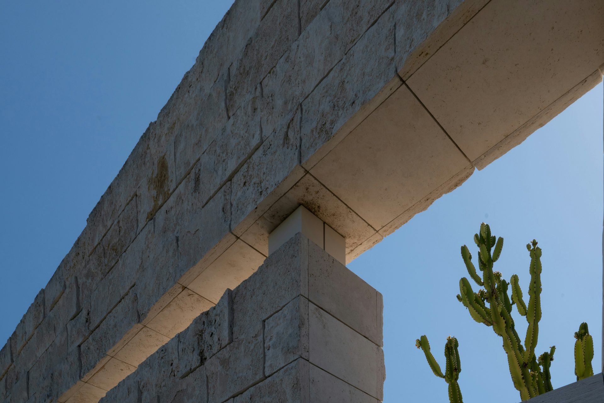 a building with a plant in front of it
